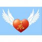 2014.11.15教育分享--内向的,不自信的孩子怎么办? 2014.11.15教育分享--内向的,不自信的孩子怎么办?